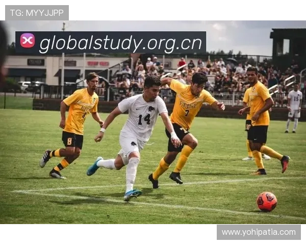 乐鱼体育旗舰网站为体育迷提供专业的赛事分析和专家预测服务