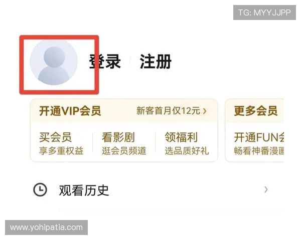 如何安全便捷地进行U体育手机版会员登录步骤解析